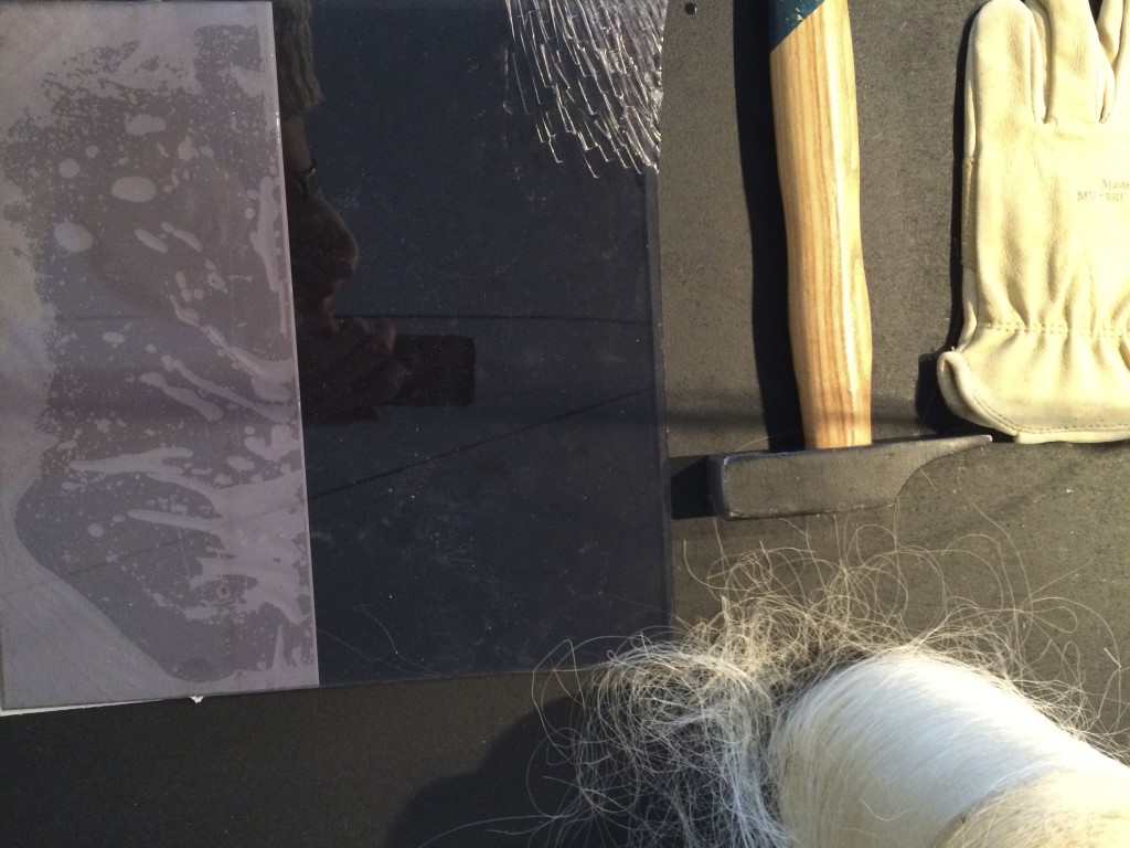 vlasta verena proposal