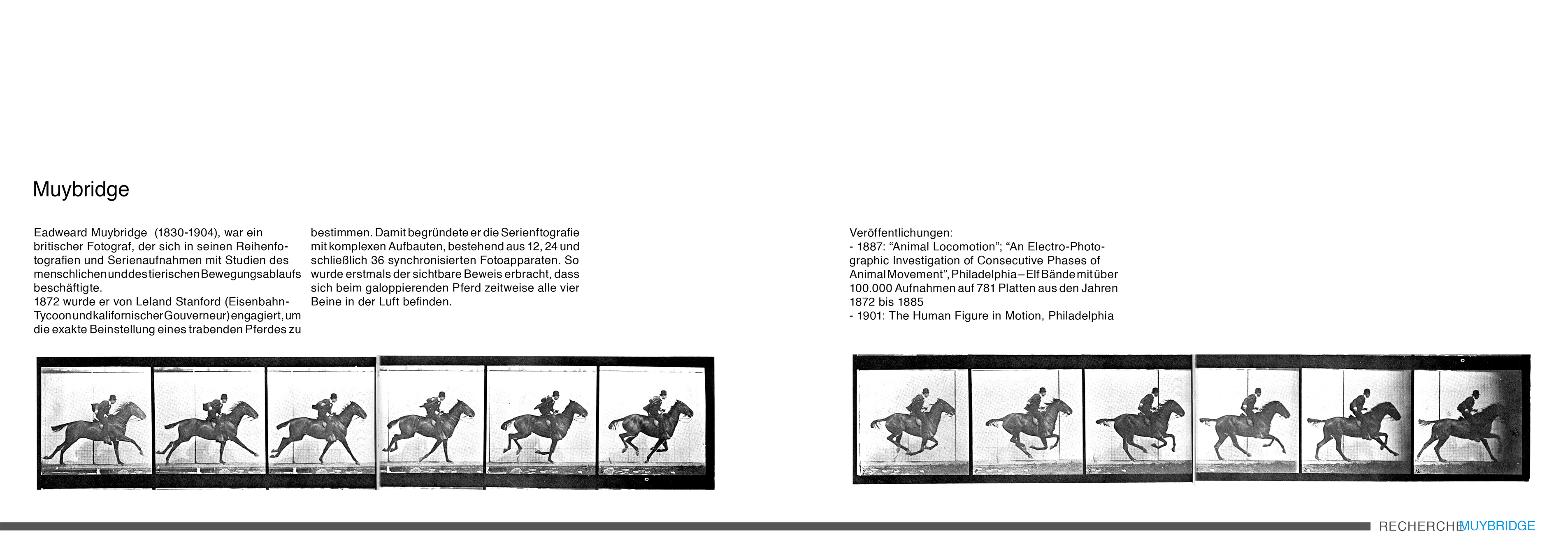 Phaenomotion_Doku_Asia Piascik7 Kopie