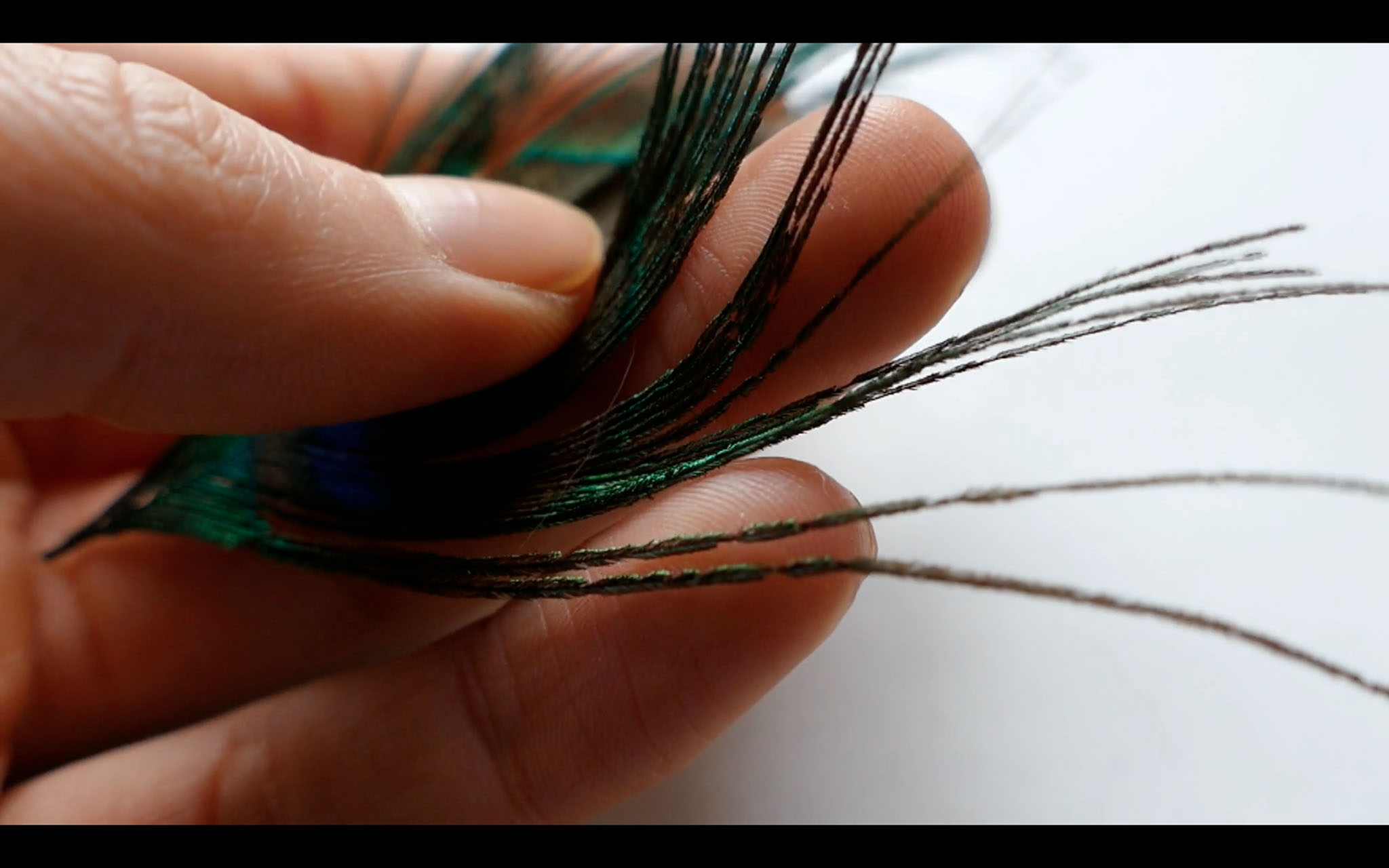 DROP_Jana_Francke_Final_Web_jpg4