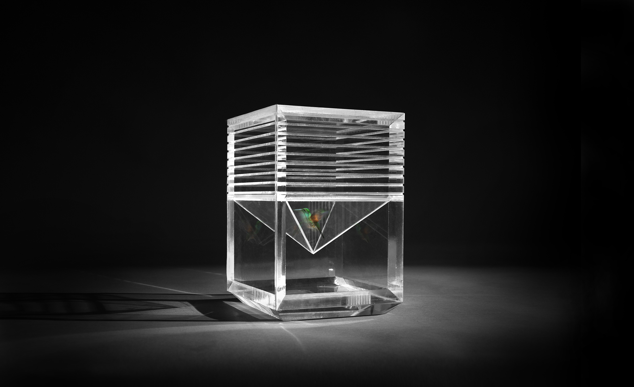 INSTÉTERNEL_Daniel_Theis_Final_Web_2