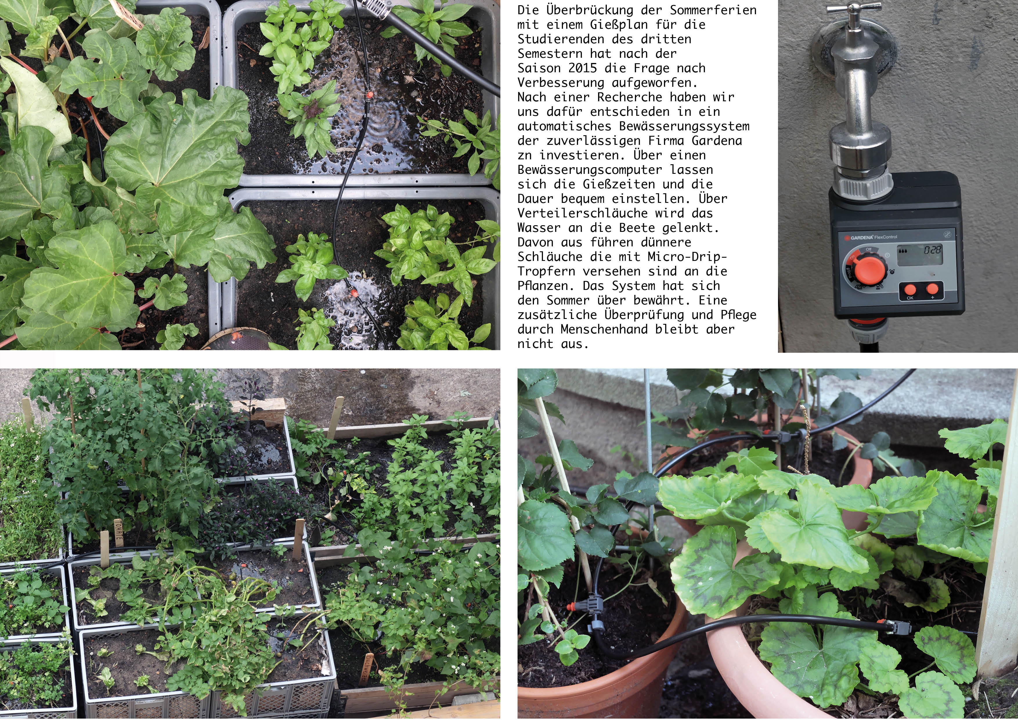 hofgru%cc%88n_2016_jpeg212