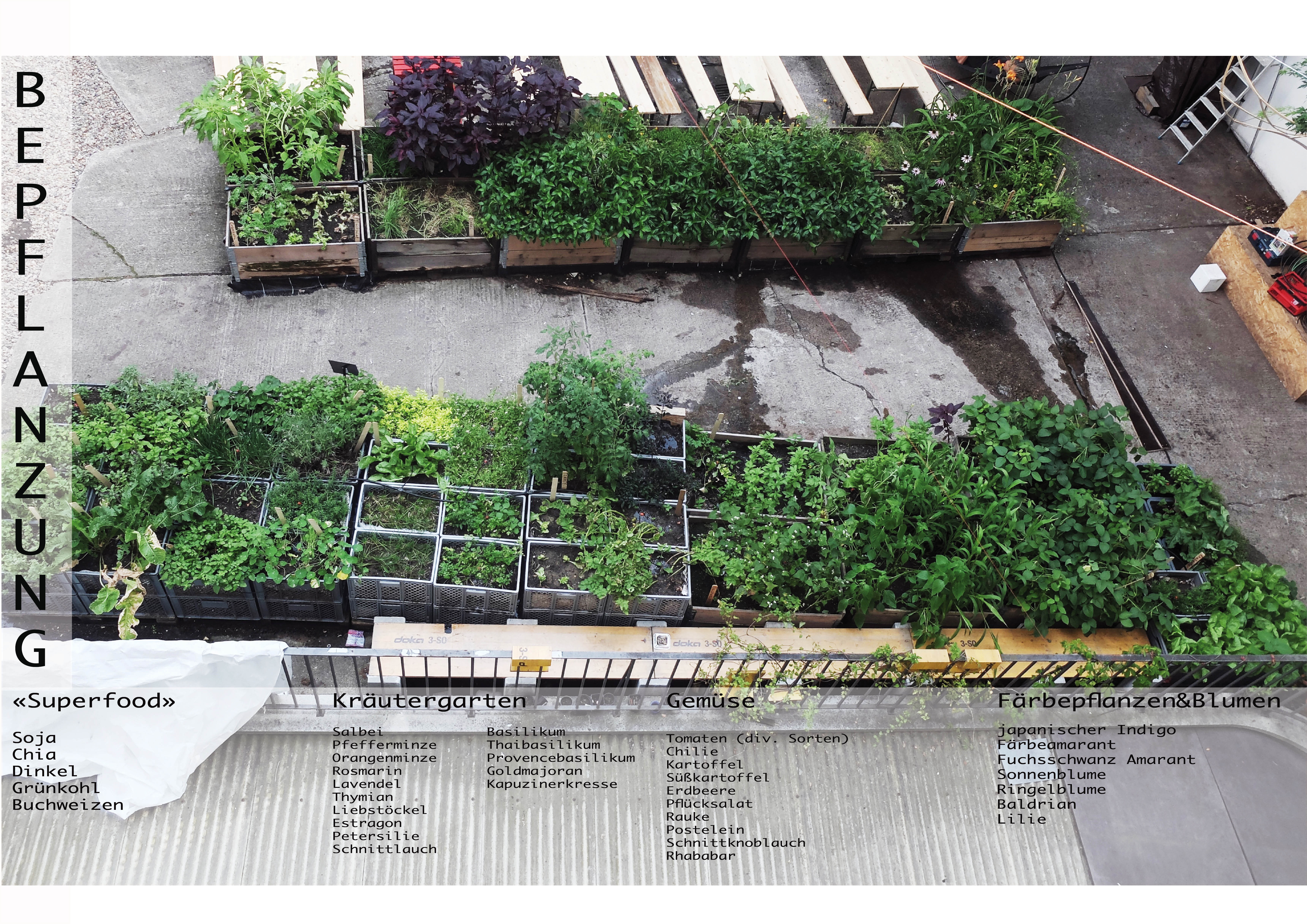 hofgru%cc%88n_2016_jpeg24