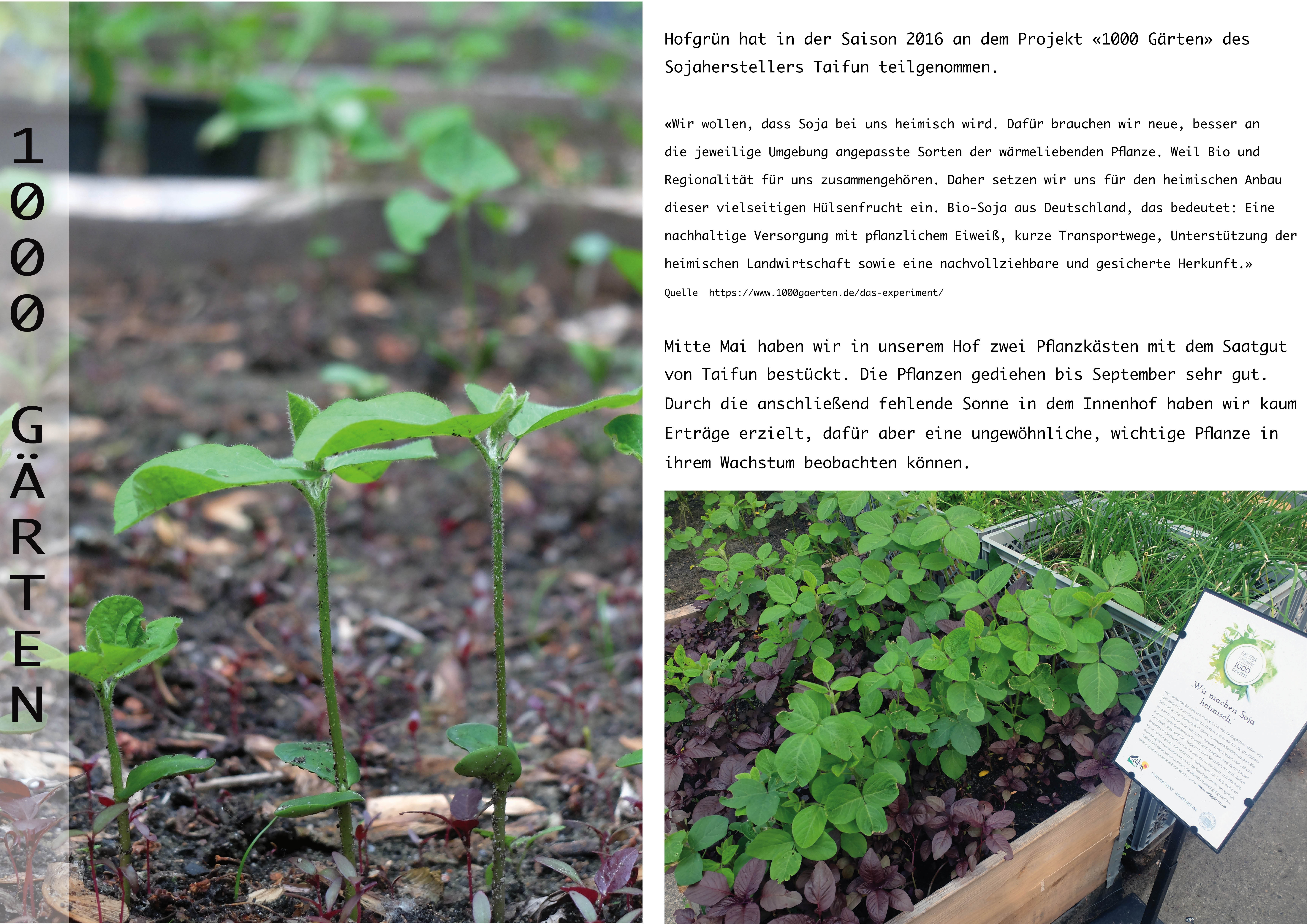 hofgru%cc%88n_2016_jpeg27