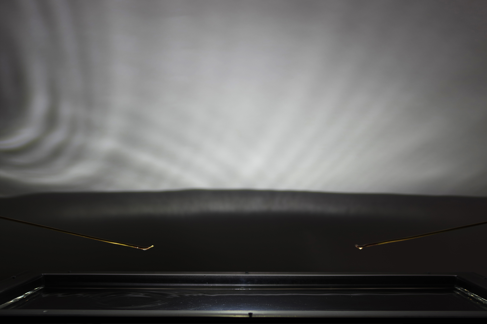 pongdang_hyunjeong_kim_final_web_7