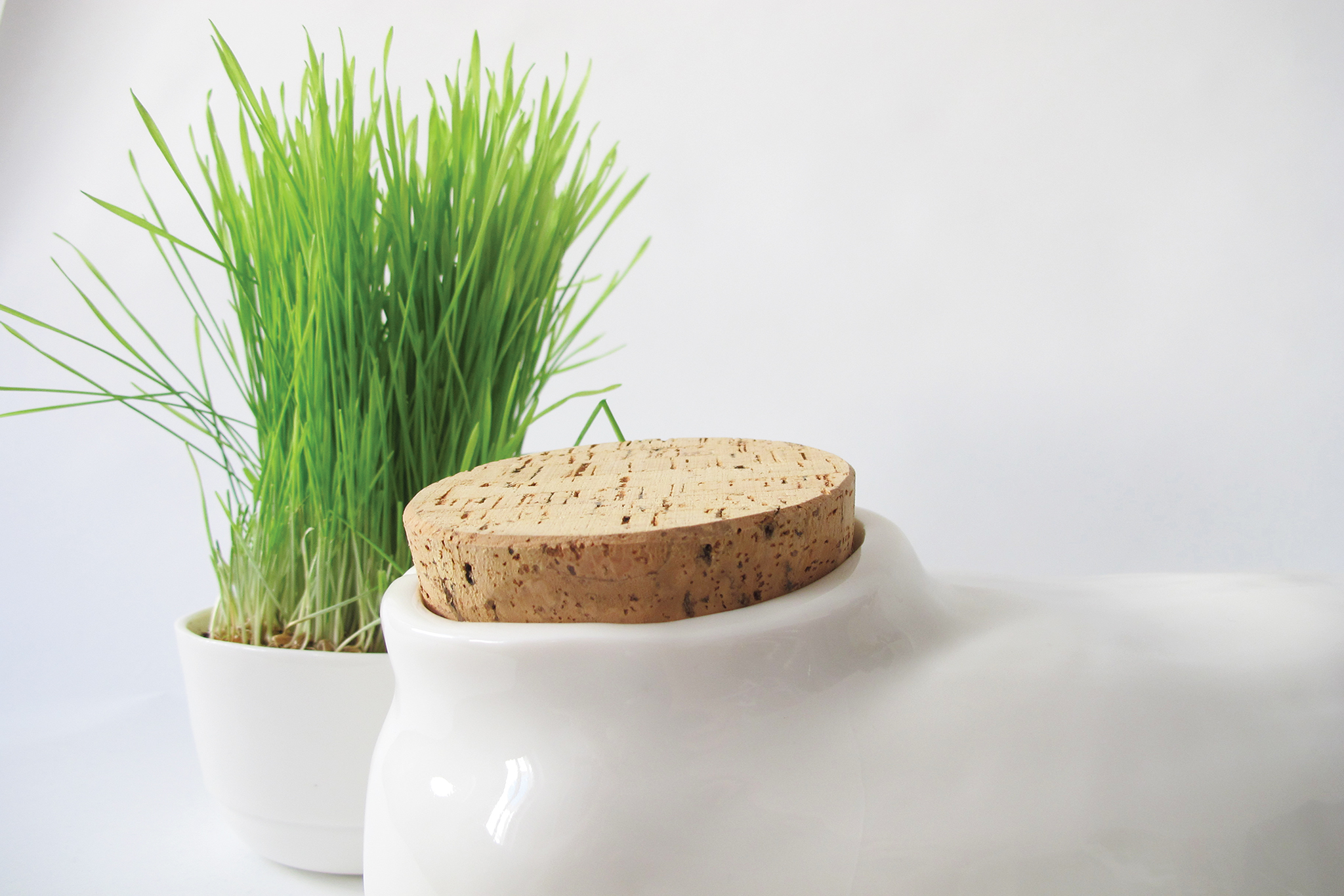 ruminantme_laureanne_kootstra_web_1