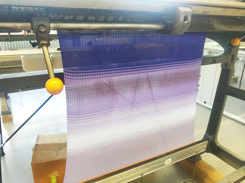 52425598241_2bd8383fe1_c