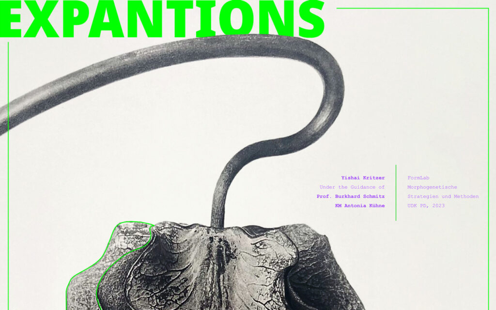 Expansions_Yishai_Kritzer_Final_Web_1