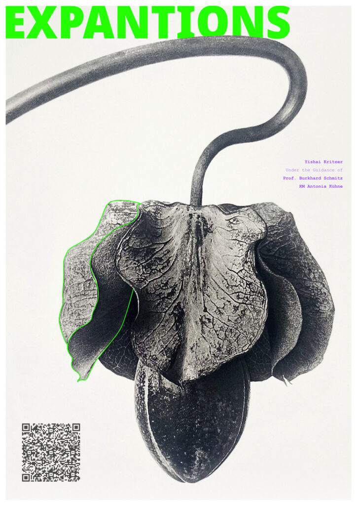 Expansions_Yishai_Kritzer_Final_Web_3