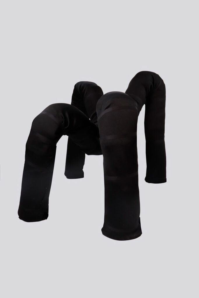 SPIDER CHAIR_Roya_Haupt_Final_Web_2